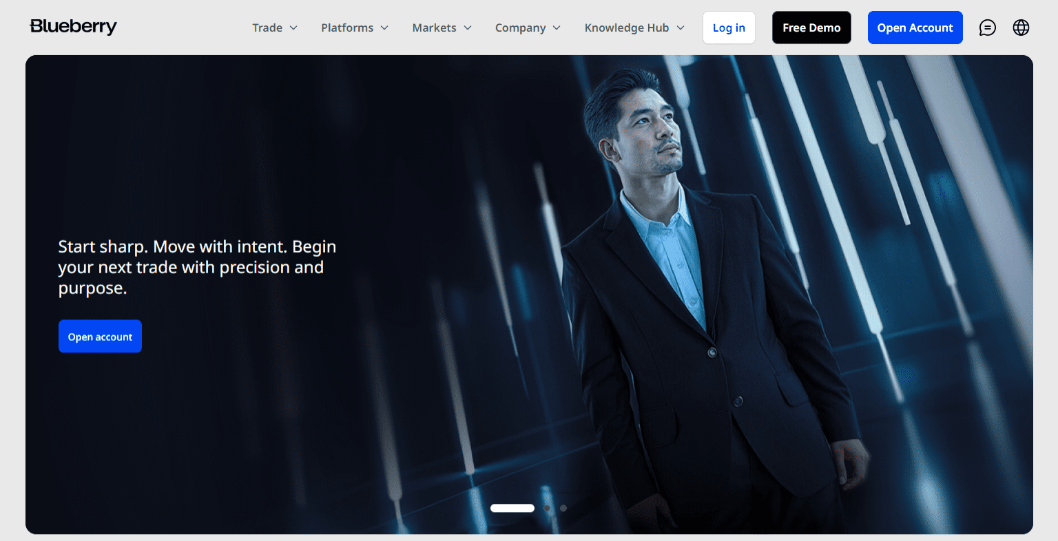 Blueberry Markets Home 1