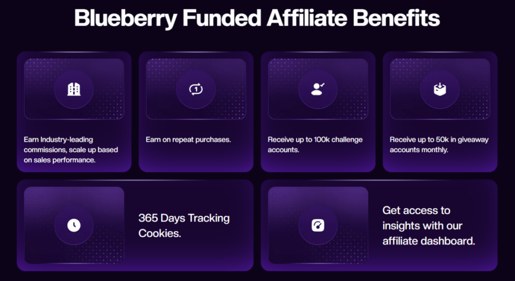 Blueberry Funded 004